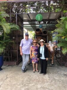 Le Parc Tung Son Thach à Saigon : une réplique d’un jardin japonais à taille humaine