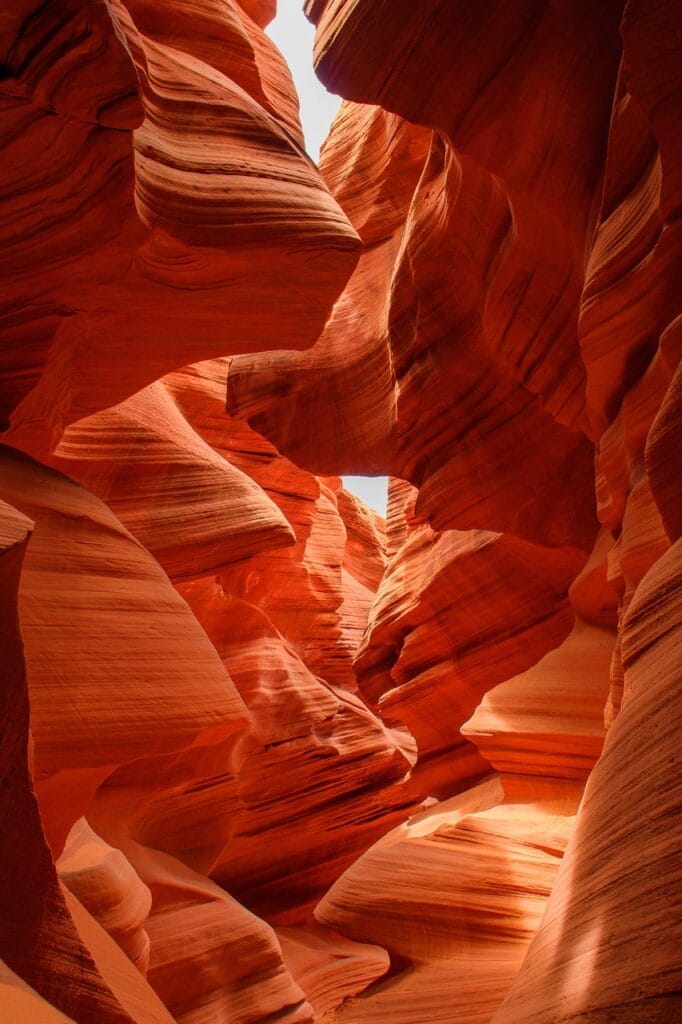 canyon antelope 